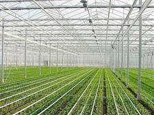 農(nóng)業(yè)種植溫室建造-溫室大棚建設(shè)-溫室工程